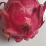 “Waspadai Masalah Kesehatan yang Ditimbulkan oleh Buah Naga Berlebihan”