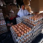 Presiden Prabowo Jamin Stabilitas Stok Pangan Aman Selama Nataru