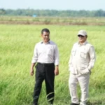 Optimisme Pemerintahan Prabowo Wujudkan Swasembada Pangan Dalam Kurun 2 TahunOptimisme Pemerintahan Prabowo Wujudkan Swasembada Pangan Dalam Kurun 2 Tahun