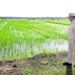 Apresiasi Peran Kelompok Pengusaha Dalam Program Cetak Sawah