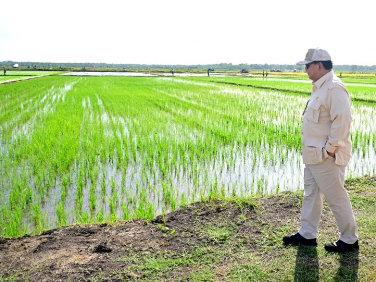 Apresiasi Peran Kelompok Pengusaha Dalam Program Cetak Sawah