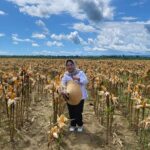 Food Estate di Papua: Dorong Ketahanan Pangan dan Ciptakan Lapangan Kerja