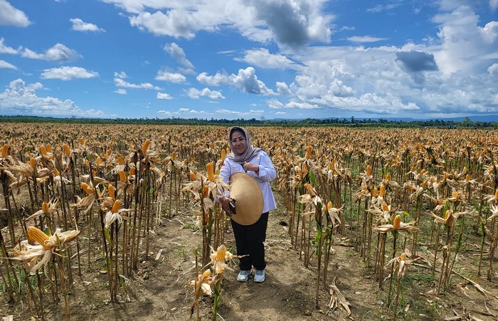 Food Estate di Papua: Dorong Ketahanan Pangan dan Ciptakan Lapangan Kerja