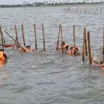 Mengapresiasi Ketegasan Pemerintah Bongkar Pagar Laut