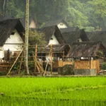 Pemerintah Optimal Bangun Desa, Berantas Kemiskinan dan Ratakan Perekonomian
