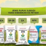 Mengapresiasi Strategi Jitu Presiden Prabowo Atasi Kelangkaan Pupuk