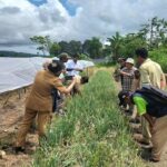 Dukungan Masyarakat Terhadap Keberlanjutan Lumbung Pangan di Papua