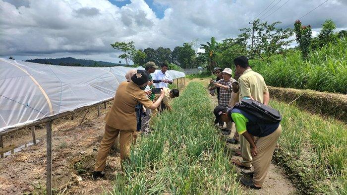 Dukungan Masyarakat Terhadap Keberlanjutan Lumbung Pangan di Papua