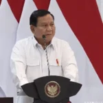 Peluncuran Danantara Jadi Masa Depan Baru bagi Perekonomian Indonesia
