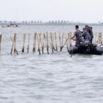 Presiden Prabowo Tegaskan Komitmen untuk Bongkar Pagar Laut Demi Keberlanjutan Lingkungan
