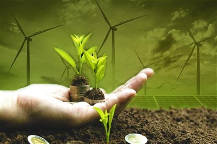 Kebijakan Fiskal Ramah Lingkungan, Pemerintah Dorong Investasi Hijau