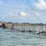 Pemerintah Terus Upayakan Penyelesaian Persoalan Pagar Laut