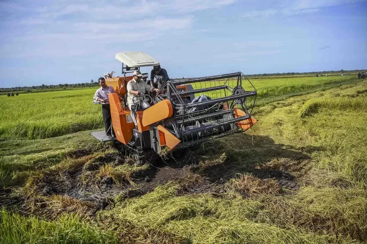 Pemerintah Luncurkan Sejumlah Langkah Strategis Percepat Swasembada Pangan dan Energi