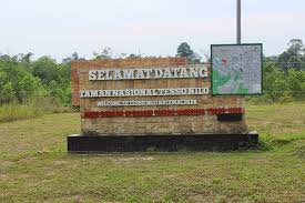 DPR Dukung Pemerintah Pusat dan Daerah Lindungi Taman Nasional Tesso Nilo