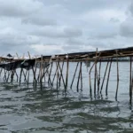 Pemerintah Tindak Tegas Pelaku Pemasang Pagar Laut