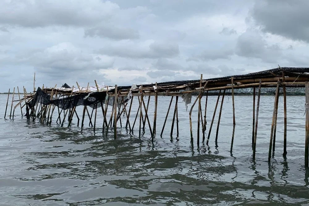 Pemerintah Tindak Tegas Pelaku Pemasang Pagar Laut