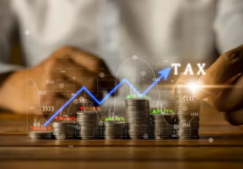 Investasi Hijau Strategi Pemerintah Wujudkan Ekonomi Berkelanjutan