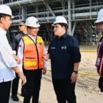 Hilirasi Komoditas Kelapa Strategi RI untuk Genjot Ekspor Unggulan