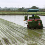 Pemerintah Selenggarakan Pelatihan Demi Tingkatkan Kompetensi untuk Mempercepat Swasembada Pangan