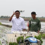 Pemerintah Perkuat Ketahanan Pangan Papua Lewat Perluasan Lahan dan Sinergi Distribusi