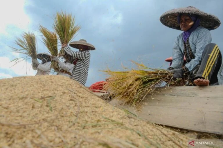 Pemerintah Terus Tingkatkan Produksi Nasional Demi Kemandirian Pangan