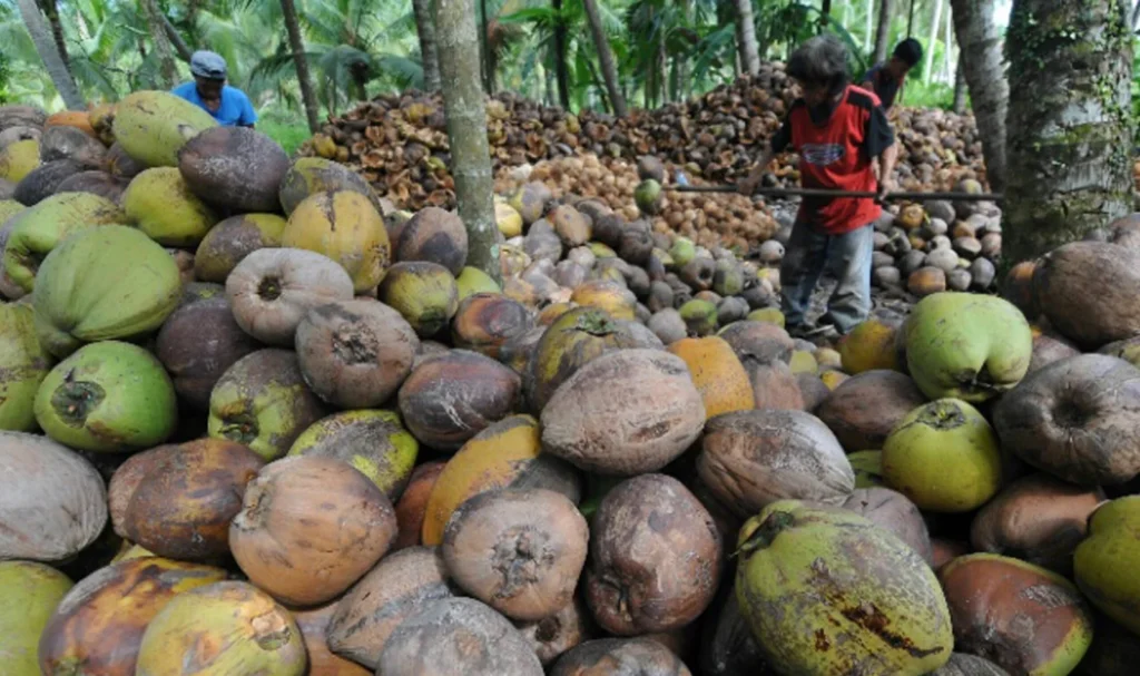 Optimalisasi HPM Strategi Pemerintah Percepat Hilirisasi