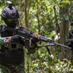 Pastikan Tindak Tegas OPM Bukan Masyarakat Sipil, Pemerintah Wujudkan Stabilitas Keamanan di Papua