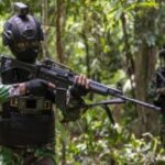 Pemerintah Berhasil Redam Aksi Separatis OPM, Masyarakat Aman