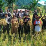 Ketahanan Pangan Papua Pilar Strategis Swasembada Nasional