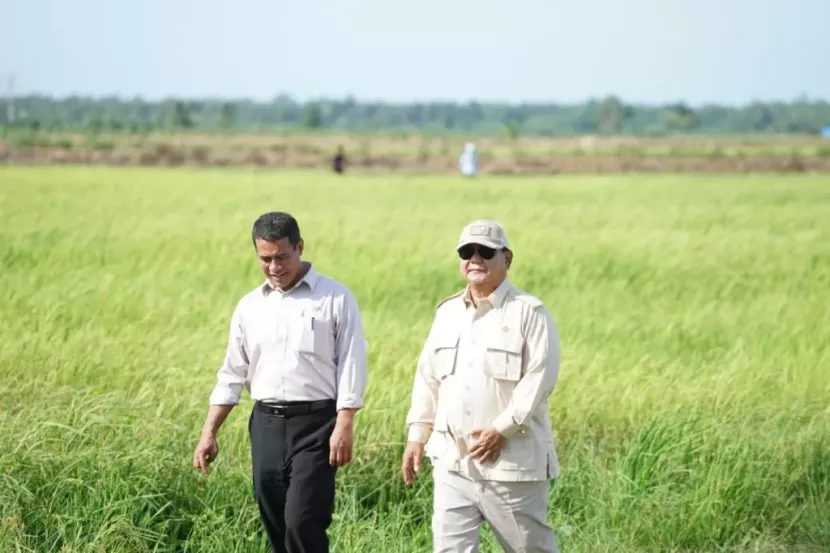 Cadangan Beras Capai 4 Juta Ton, Indonesia Raih status Swasembada Pangan