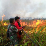 Koordinasi Antar Instansi Jadi Kunci Penting Pencegahan Karhutla