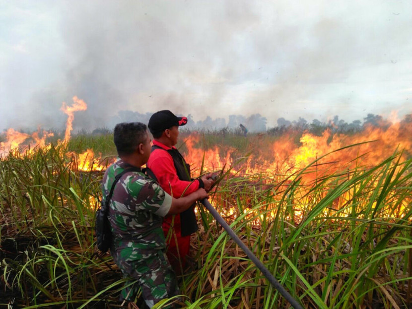 Koordinasi Antar Instansi Jadi Kunci Penting Pencegahan Karhutla