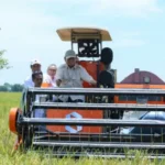 Kebijakan Terpadu Pemerintah Dorong Indonesia Mandiri Pangan