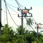 Listrik Desa Jadi Simbol Kehadiran Negara hingga Pelosok Negeri
