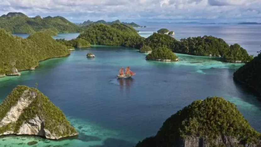 Komitmen Pemerintah Pastikan Tambang Raja Ampat Tak Mengancam Keanekaragaman Hayati