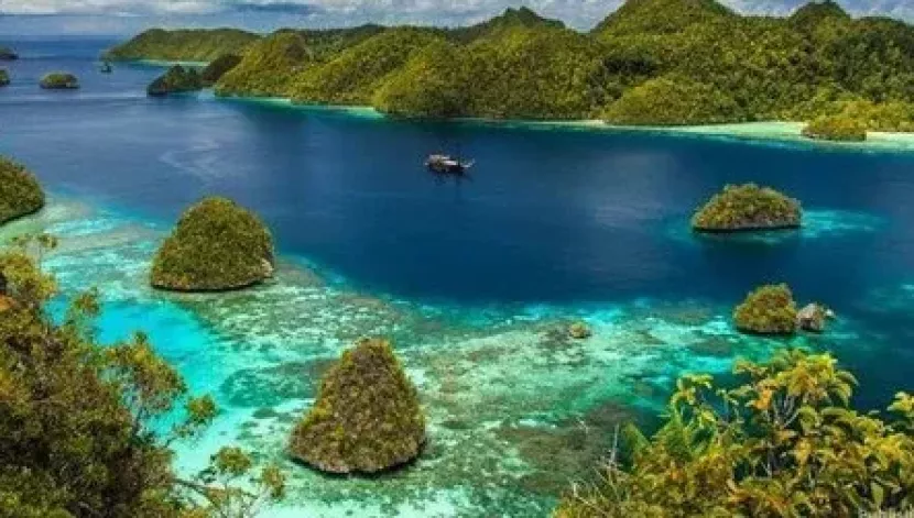 Presiden Prabowo Tegas Cabut Empat IUP di Raja Ampat