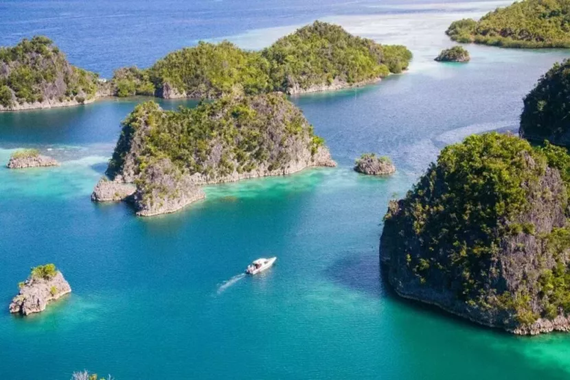 Pencabutan IUP di Raja Ampat, Bukti Komitmen Pemerintah Jaga Kelestarian Lingkungan