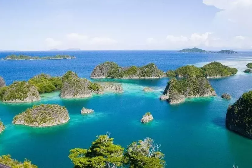 Pemerintah Respon Suara Masyarakat, Cabut Empat IUP di Raja Ampat