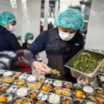 Pemerintah Dorong Peran Aktif Masyarakat Desa Suplai Bahan Baku Program MBG