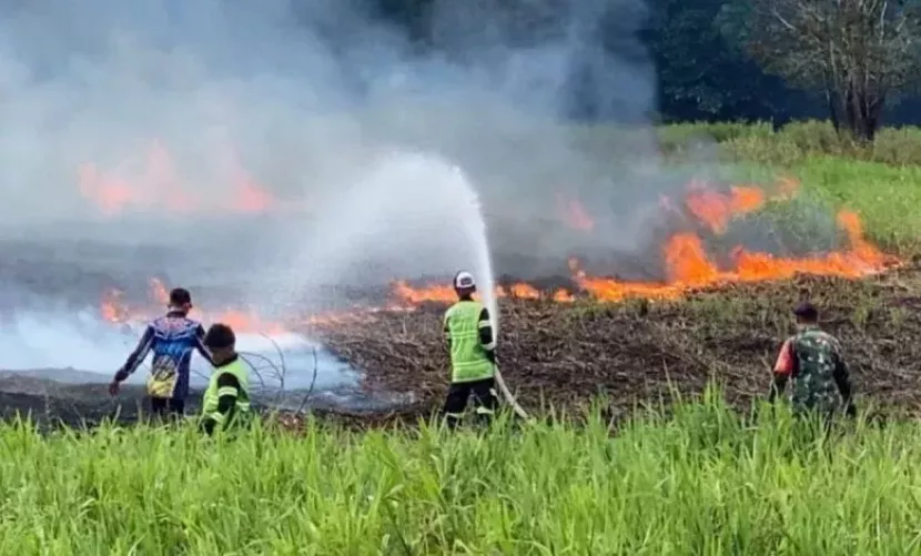 Tanggap Dini Pemerintah Kendalikan Titik Panas Guna Cegah Karhutla