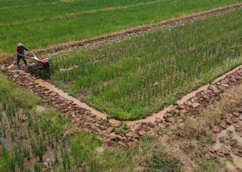 Swasembada Pangan dan Energi Kunci Ketahanan Nasional