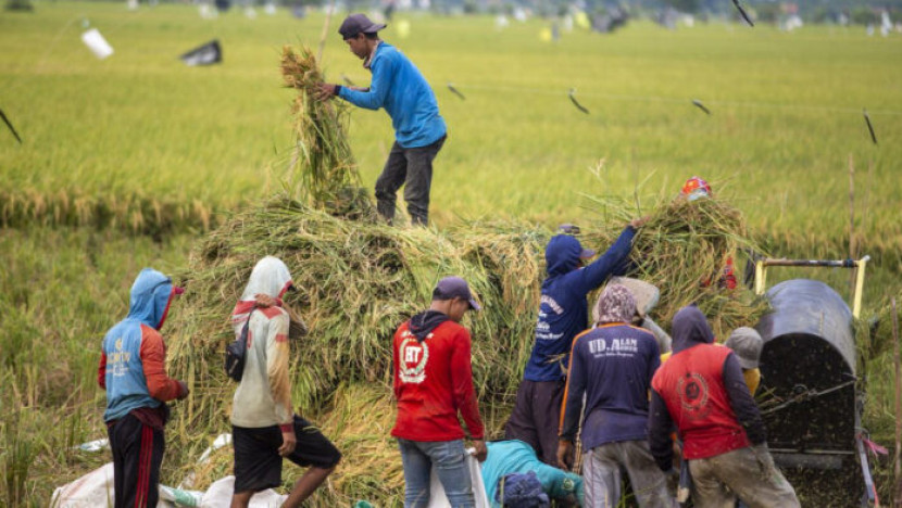 Swasembada Pangan dan Energi Jadi Pilar Kedaulatan Ekonomi Nasional