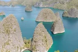 Pemerintah Prioritaskan Keberlanjutan di Raja Ampat: Investasi Tetap, Lingkungan Terjaga