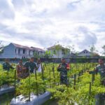 Dandim 1710/Mimika Tinjau Ketahanan Pangan Milik Kelompok Tani