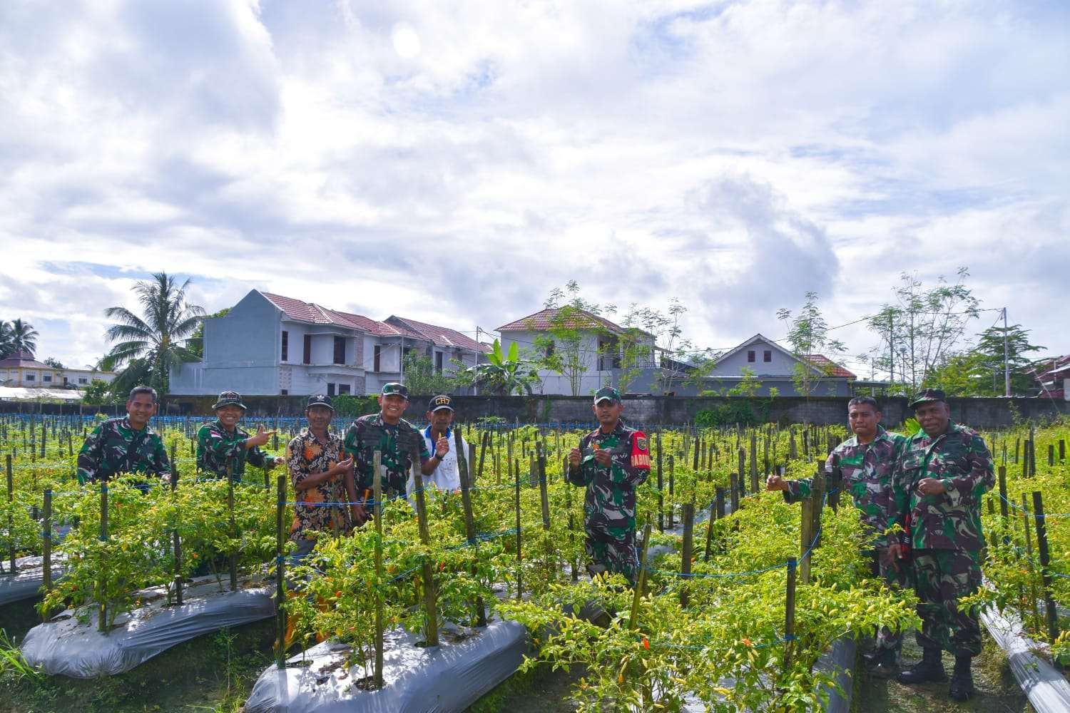 Dandim 1710/Mimika Tinjau Ketahanan Pangan Milik Kelompok Tani