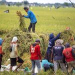 Demonstrasi Tidak Goyahkan Fokus Pemerintah Mewujudkan Swasembada Pangan