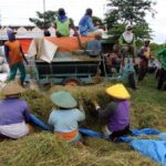 Pemerintah Pacu Transformasi Ekonomi Lewat Swasembada Pangan dan Energi