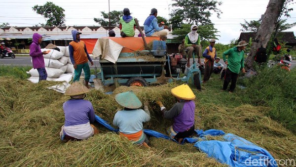 Pemerintah Pacu Transformasi Ekonomi Lewat Swasembada Pangan dan Energi