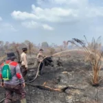 Sinergitas Pemerintah Pusat dan Daerah Efektif Hadapi Status Tanggap Darurat Karhutla