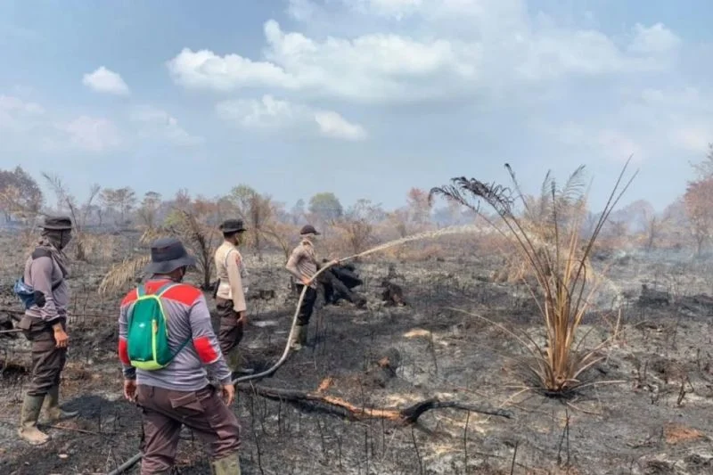 Sinergitas Pemerintah Pusat dan Daerah Efektif Hadapi Status Tanggap Darurat Karhutla